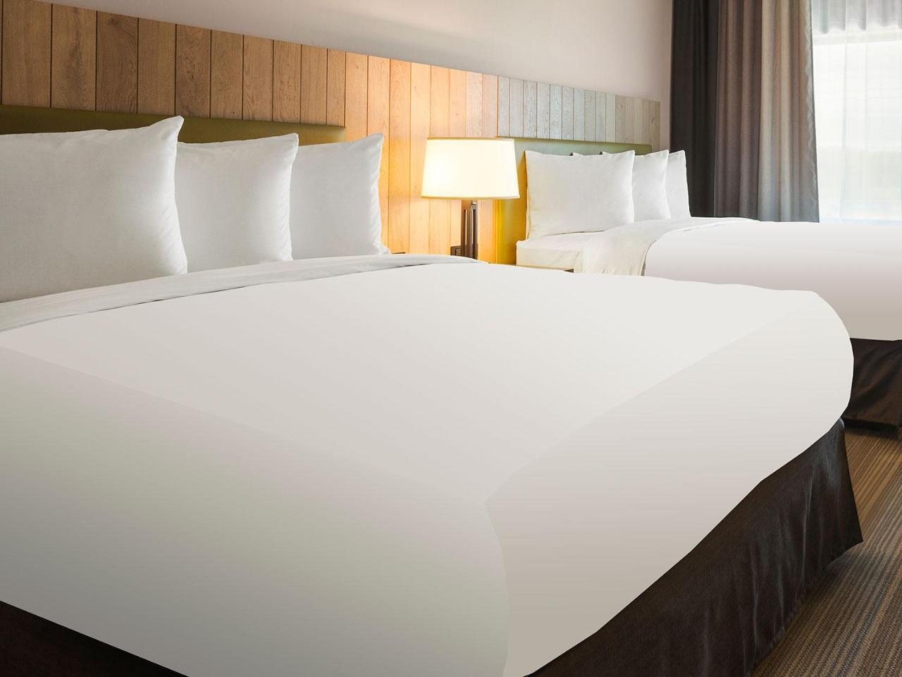 Hotel Country & By Radisson, Novi, Mi Novi